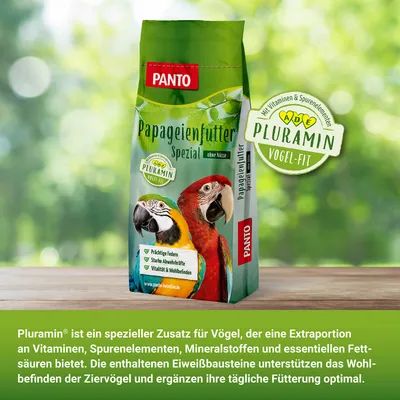 PANTO Papageienfutter Spezial - Futter für Papageien ohne Nüsse mit Kernen