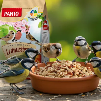 PANTO Erdnussbruch – fettreiches Streufutter für Wildvögel