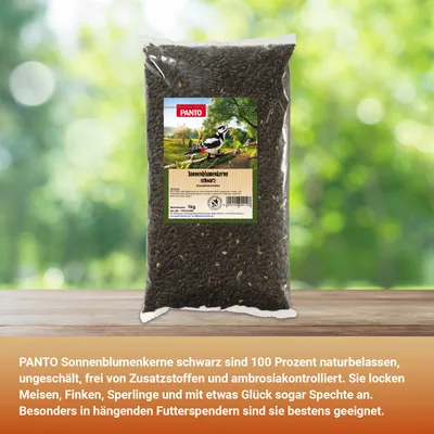PANTO Sonnenblumenkerne schwarz - Wildvogelfutter für Gartenvögel