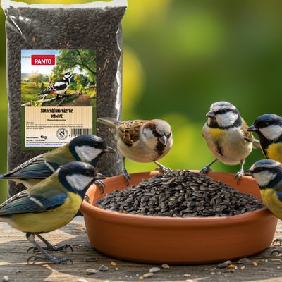 PANTO Sonnenblumenkerne schwarz - Wildvogelfutter für Gartenvögel