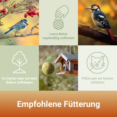 PANTO Riesen-Meisenknödel - energiereiches Fettfutter für Wildvögel