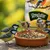 PANTO Streufutter - Wildvogelfutter mit Sonnenblumenkernen & Erdnüssen
