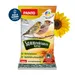 PANTO Sonnenblumenkerne gestreift - Streufutter für Wildvögel Gartenvögel