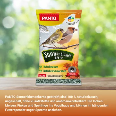 PANTO Sonnenblumenkerne gestreift - Streufutter für Wildvögel Gartenvögel