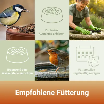 PANTO Vier-Jahreszeiten-Futter -  Wildvogelfutter, Streufutter
