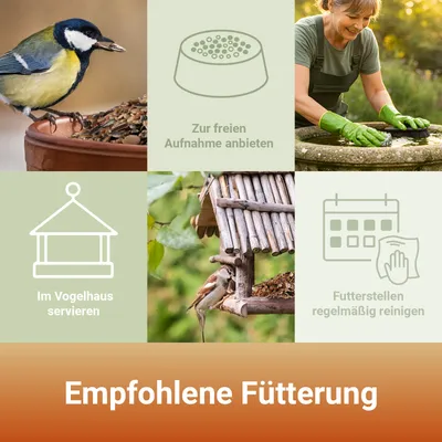 PANTO Rosinen - Wildvogelfutter für Amseln, Drosseln & Gartenvögel
