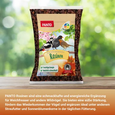 PANTO Rosinen - Wildvogelfutter für Amseln, Drosseln & Gartenvögel