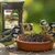 PANTO Sonnenblumenkerne schwarz - Wildvogelfutter für Gartenvögel