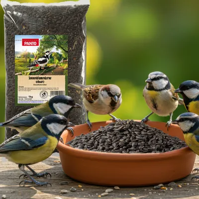 PANTO Sonnenblumenkerne schwarz - Wildvogelfutter für Gartenvögel