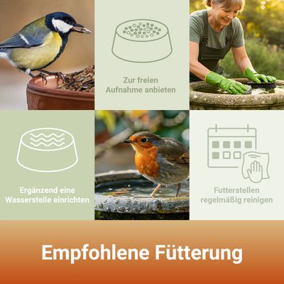 PANTO Gartentraum - Wildvogelfutter mit Getreide, Nüsse, Früchten