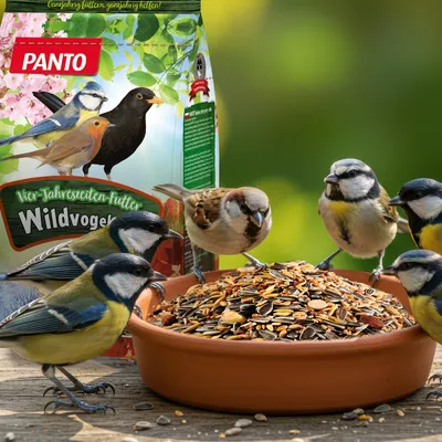 PANTO Vier-Jahreszeiten-Futter -  Wildvogelfutter, Streufutter