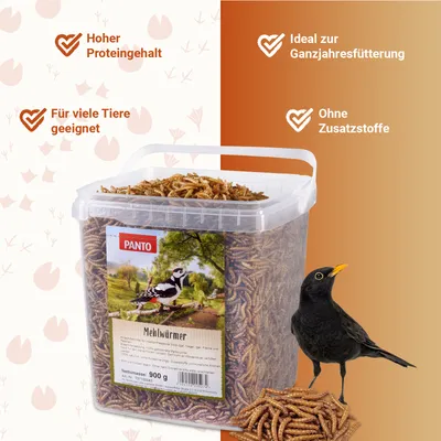 PANTO Mehlwürmer - Proteinreicher getrockneter Snack
