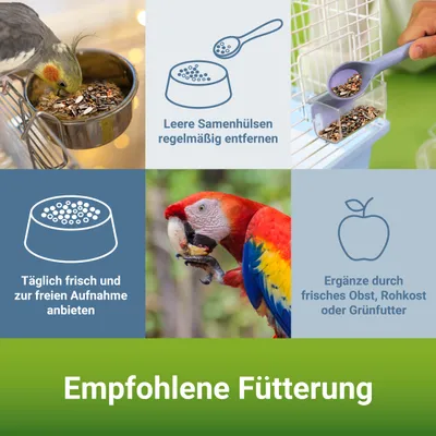 PANTO Großsittich- und Papageienfutter – Saaten- & Körnermischung