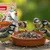 PANTO Premium Streufutter mit Wildapfel - Wildvogelfutter