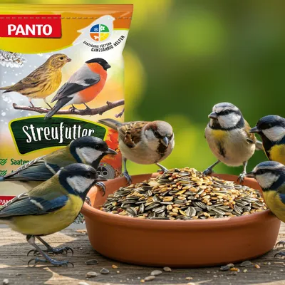 PANTO Streufutter - Wildvogelfutter mit Sonnenblumenkernen & Erdnüssen