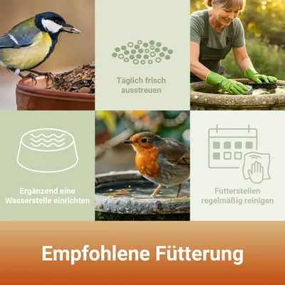 PANTO Fruchtfreude Wildvogelfutter Mischung
