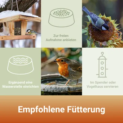 PANTO Sonnenblumenkerne gestreift - Streufutter für Wildvögel Gartenvögel