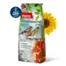 PANTO Sonnenblumenkerne gestreift - Streufutter für Wildvögel Gartenvögel