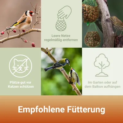 PANTO Nussbeutel – Energiespender aus 100 % Erdnüssen (5er-Pack)