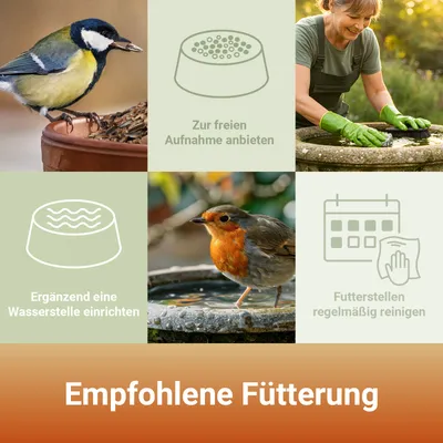 PANTO Gartentraum - Wildvogelfutter mit Getreide, Nüsse, Früchten