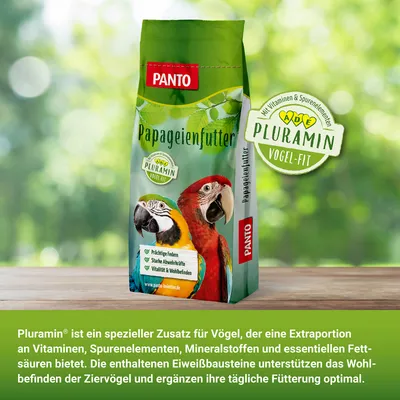 PANTO Papageienfutter - Futter für Papageien mit Nüssen & Kernen
