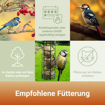 PANTO Ganzjahresknödel ohne Netz – Wildvogelfutter mit Früchten & Insekten