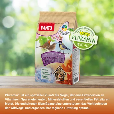 PANTO Wildvogel-Power-Mix - Wildvogelfutter, Streufutter