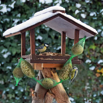 PANTO Futterkette – Wildvogelfutter aus Knödeln & Nussbeuteln
