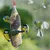 PANTO Ganzjahresfutterspirale – Wildvogelfutter mit Sonnenblumenkernen