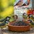 PANTO Sonnenblumenkerne schwarz - Wildvogelfutter für Gartenvögel
