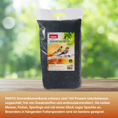 PANTO Sonnenblumenkerne schwarz - Wildvogelfutter für Gartenvögel