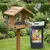 PANTO Sonnenblumenkerne schwarz - Wildvogelfutter für Gartenvögel