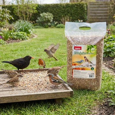 PANTO Premium Streufutter schalenlos – Saaten & Nüsse für Wildvögel