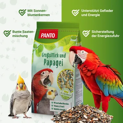 PANTO Großsittich- und Papageienfutter – Saaten- & Körnermischung