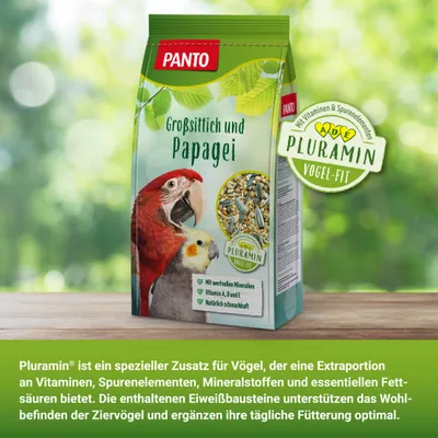 PANTO Großsittich- und Papageienfutter – Saaten- & Körnermischung