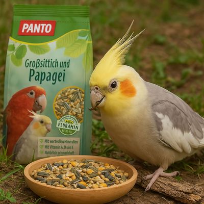 PANTO Großsittich- und Papageienfutter – Saaten- & Körnermischung