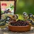 PANTO Rosinen - Wildvogelfutter für Amseln, Drosseln & Gartenvögel