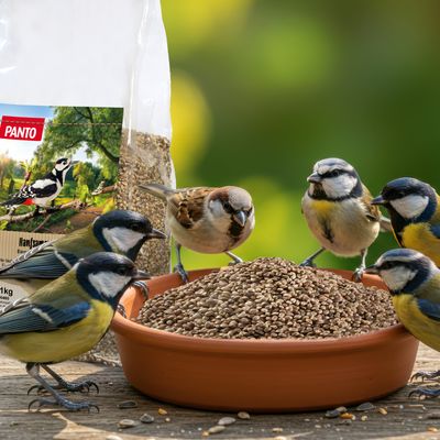 PANTO Hanfsamen - Wildvogelfutter für Gartenvögel, Natürliche Proteinquelle