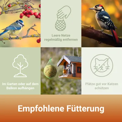 PANTO Ganzjahresknödel – Wildvogelfutter mit Früchten & Insekten