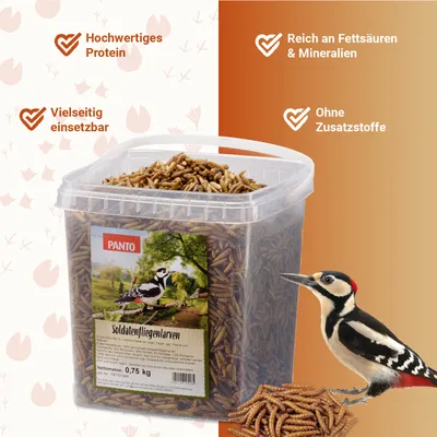 PANTO Soldatenfliegenlarven - Wildvogelfutter für Gartenvögel proteinreich