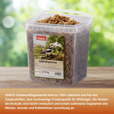 PANTO Soldatenfliegenlarven - Wildvogelfutter für Gartenvögel proteinreich