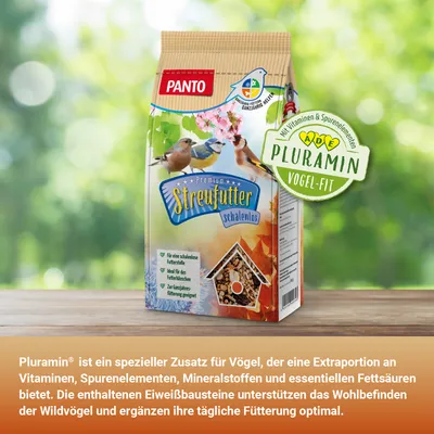 PANTO Premium Streufutter schalenlos – Saaten & Nüsse für Wildvögel
