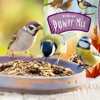 PANTO Wildvogel-Power-Mix - Wildvogelfutter, Streufutter PANTO Wildvogel-Power-Mix - Wildvogelfutter, Streufutter