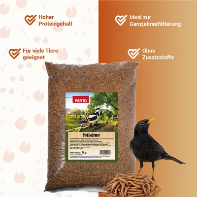 PANTO Mehlwürmer - Proteinreicher getrockneter Snack