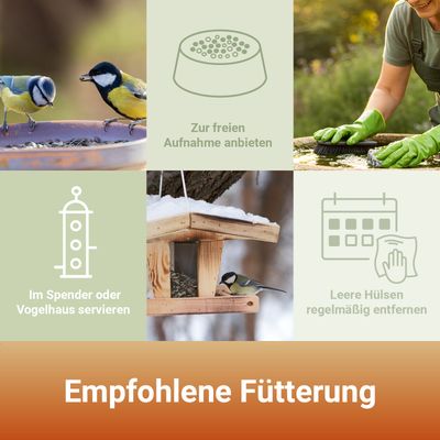 PANTO Meisenfutter - Wildvogelfutter mit Erdnüssen und Sonnenblumenkernen