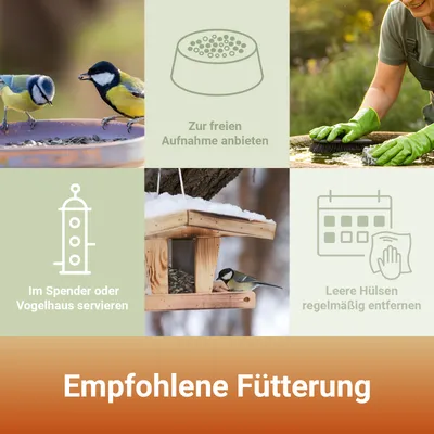 PANTO Meisenfutter - Wildvogelfutter mit Erdnüssen und Sonnenblumenkernen