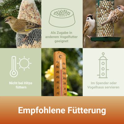 PANTO Erdnussbruch – fettreiches Streufutter für Wildvögel
