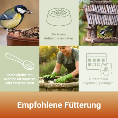PANTO Fettfutter - Wildvogelfutter mit Sonnenblumenkernen & Erdnüssen
