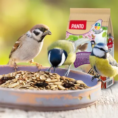PANTO Wildvogel-Power-Mix - Wildvogelfutter, Streufutter