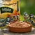 PANTO Fettfutter - Wildvogelfutter mit Sonnenblumenkernen & Erdnüssen PANTO Fettfutter - Wildvogelfutter mit Sonnenblumenkernen & Erdnüssen